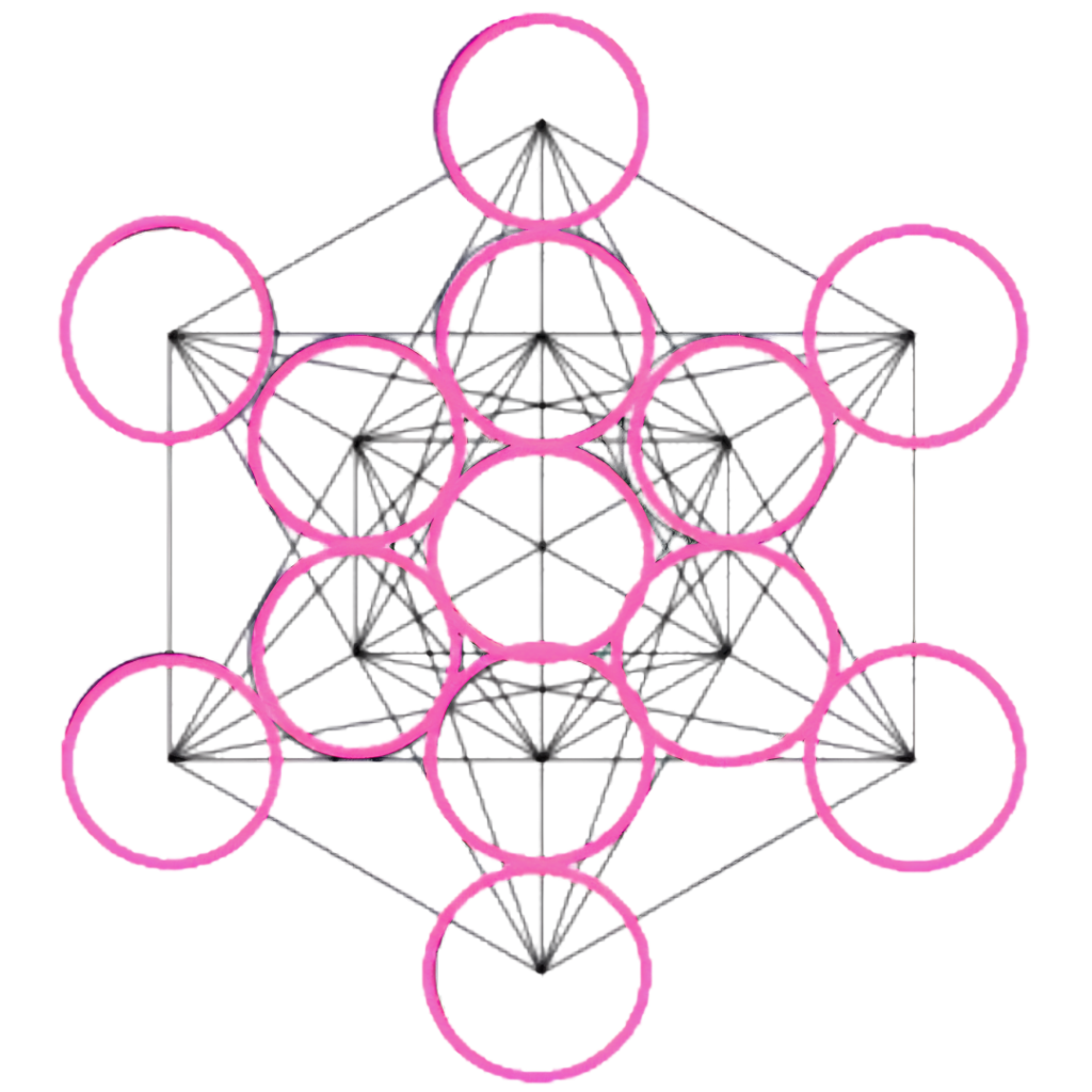 Illustration du Fruit de la Vie, composé de treize cercles roses superposés au sein de la structure du Cube de Métatron en noir, sur fond blanc.