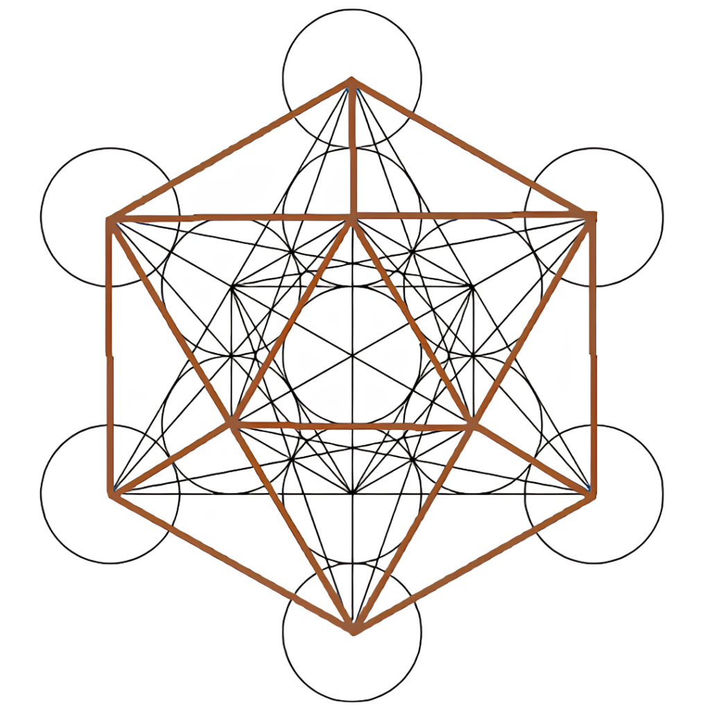 Schéma du Cube de Métatron en noir sur fond blanc, avec un icosaèdre mis en évidence par des lignes brunes au sein de la structure de géométrie sacrée.