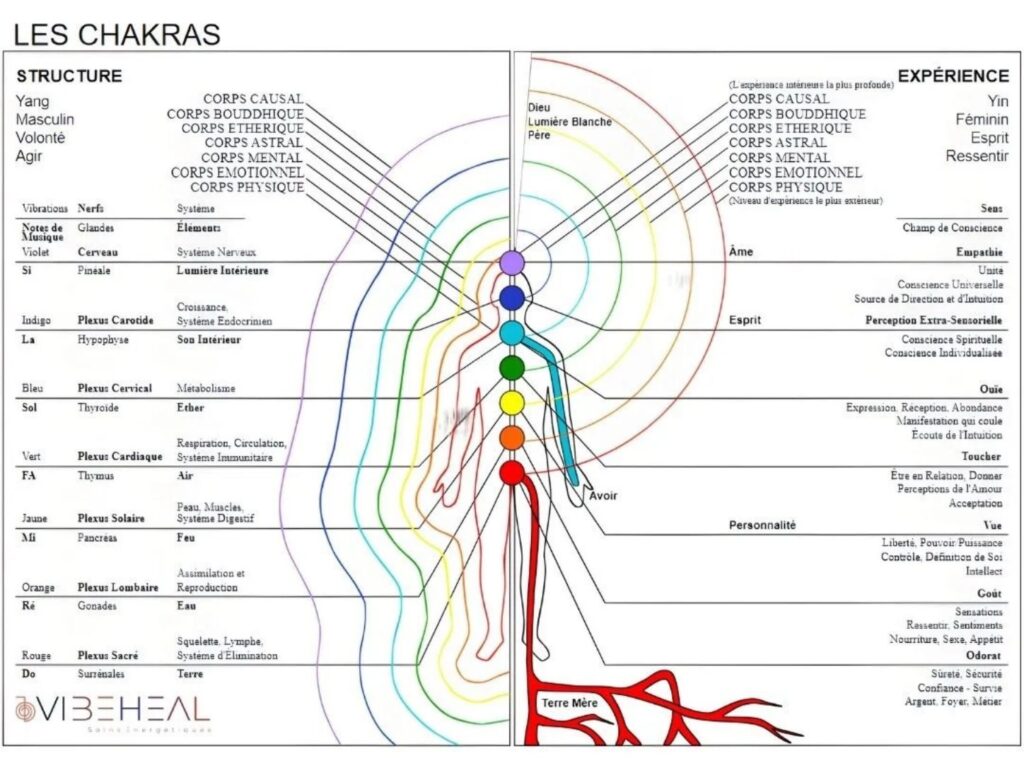 Schéma pédagogique des chakras montrant les principaux centres énergétiques du corps, leurs couleurs, leurs correspondances physiques, émotionnelles et spirituelles, ainsi que les différents corps subtils.