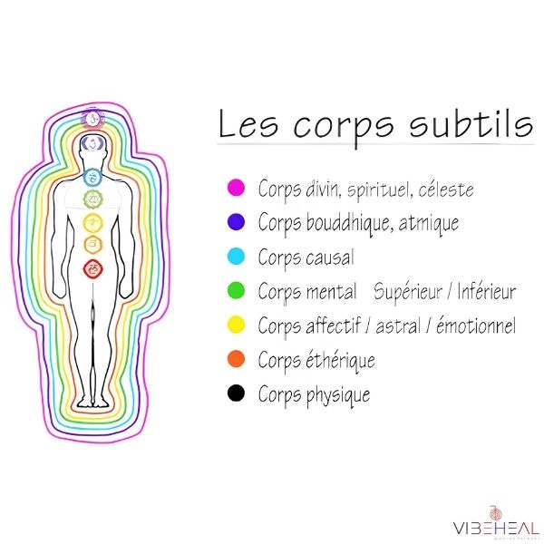 Schéma des corps subtils autour d’une silhouette humaine, représentés par plusieurs couches colorées correspondant aux corps physique, éthérique, astral ou émotionnel, mental, causal, bouddhique, atmique et spirituel.