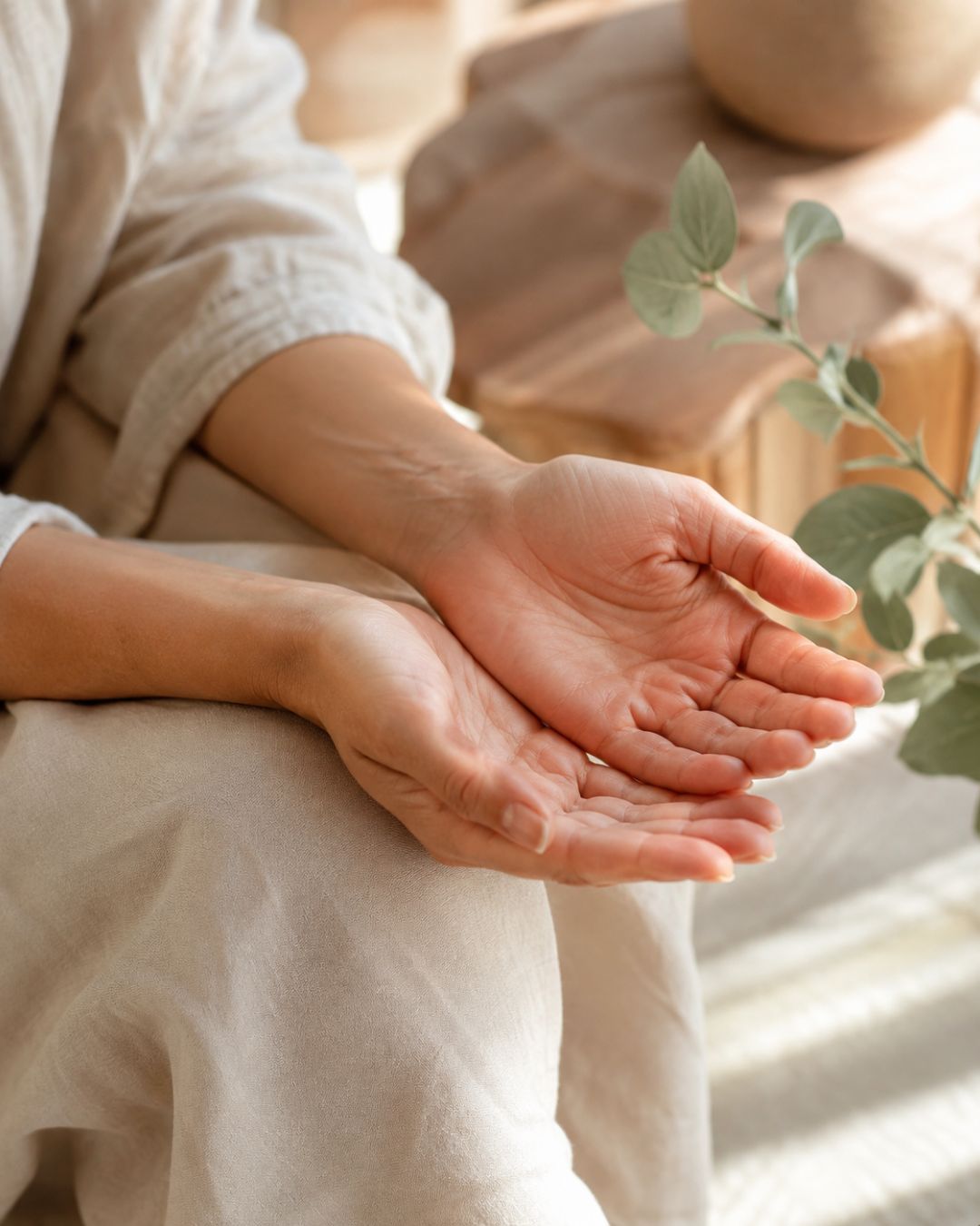 Gros plan de mains ouvertes posées avec douceur sur les genoux, dans une lumière chaude et naturelle, avec une plante en arrière-plan, évoquant la présence, l’attention au vivant et l’accompagnement personnalisé.